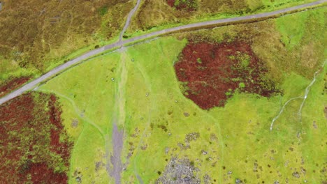 Antena-Aérea-Mirando-Hacia-Abajo-De-Los-Colores-Contrastantes-De-Brezos-Y-Páramos-En-Las-Montañas-Glencoe-Escocia