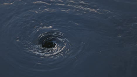 un vórtice de agua giratorio en un cuerpo de agua