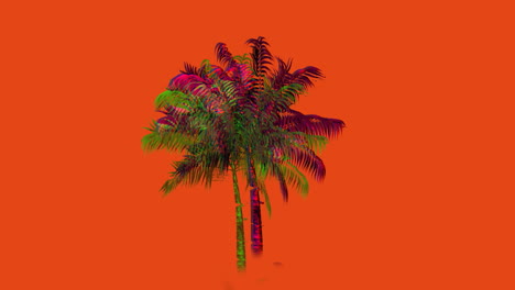 colorful palm tree 4k