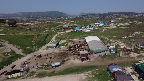 Aerial-Drone-View-Sheep-Farms