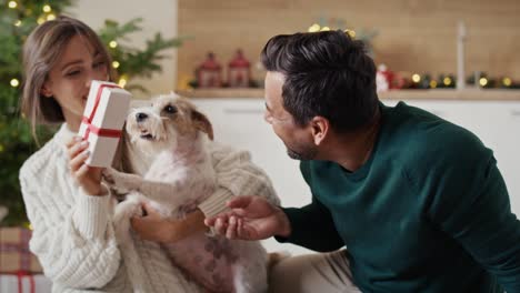 Happy-multi-ethnicity-couple-spending-Christmas-time-with-dog-at-home.