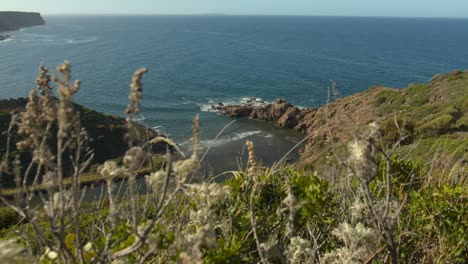 acantilado de la isla cerca del agua interminable del océano con plantas en primer plano, toma de movimiento