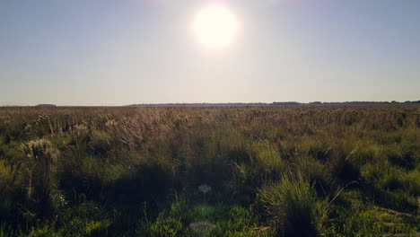 puesta de sol en un campo en argentina