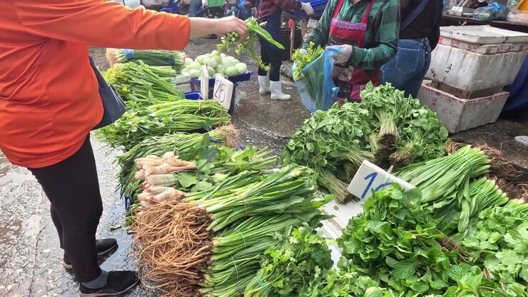 Person buying vegetables at a busy market stall