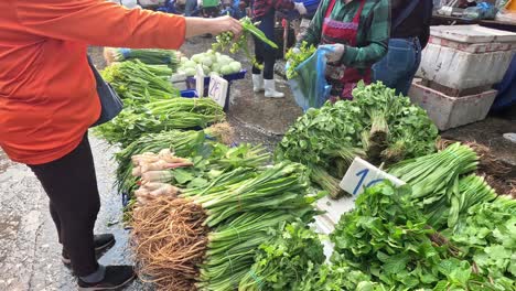 person buying vegetables at a busy market stall