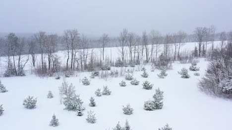 Flying-up-and-out-of-an-overgrown-snow-covered-field-towards-a-tree-lined-road-in-the-distance-while-tilting-up-SLOW-MOTION-AERIAL