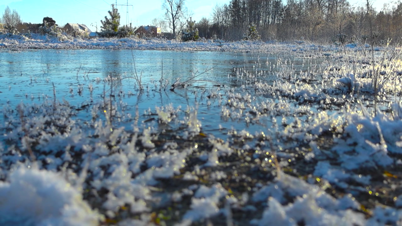 Filmato panoramico da sinistra a destra di uno stagno ghiacciato e coperto di neve che riflette durante una giornata invernale di sole, con cielo blu e foresta naturale sullo sfondo. Le piante sono coperte di ghiaccio e neve bianca.