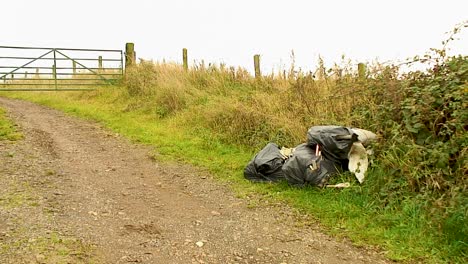 rubbish in black plastic bags flytipped by criminals in a field gateway in the english county of rutland