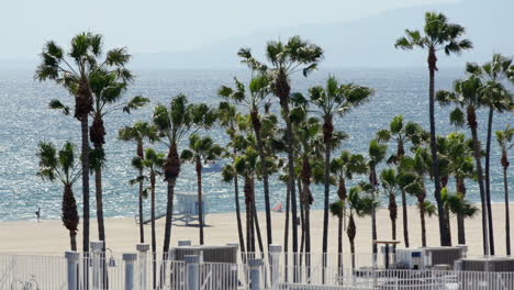 wide shot of venice beach and life guard tower looking through palm trees with waves crashing