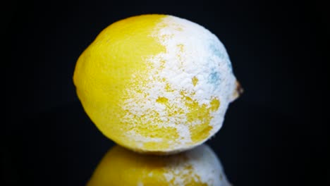 Rotting-Lemon-With-Mold-On-The-Other-Side-Rotating-On-Black-Surface---close-up,-studio-shot