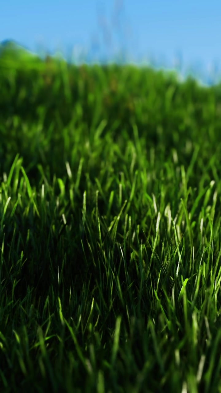 Césped verde exuberante creando un paisaje sereno y pacífico bajo un cielo azul brillante.
