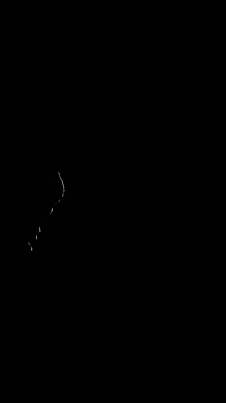Abstract White Grain and Dust Particles Moving on Black Background