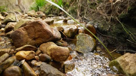 cámara lenta de agua que fluye a través de un río