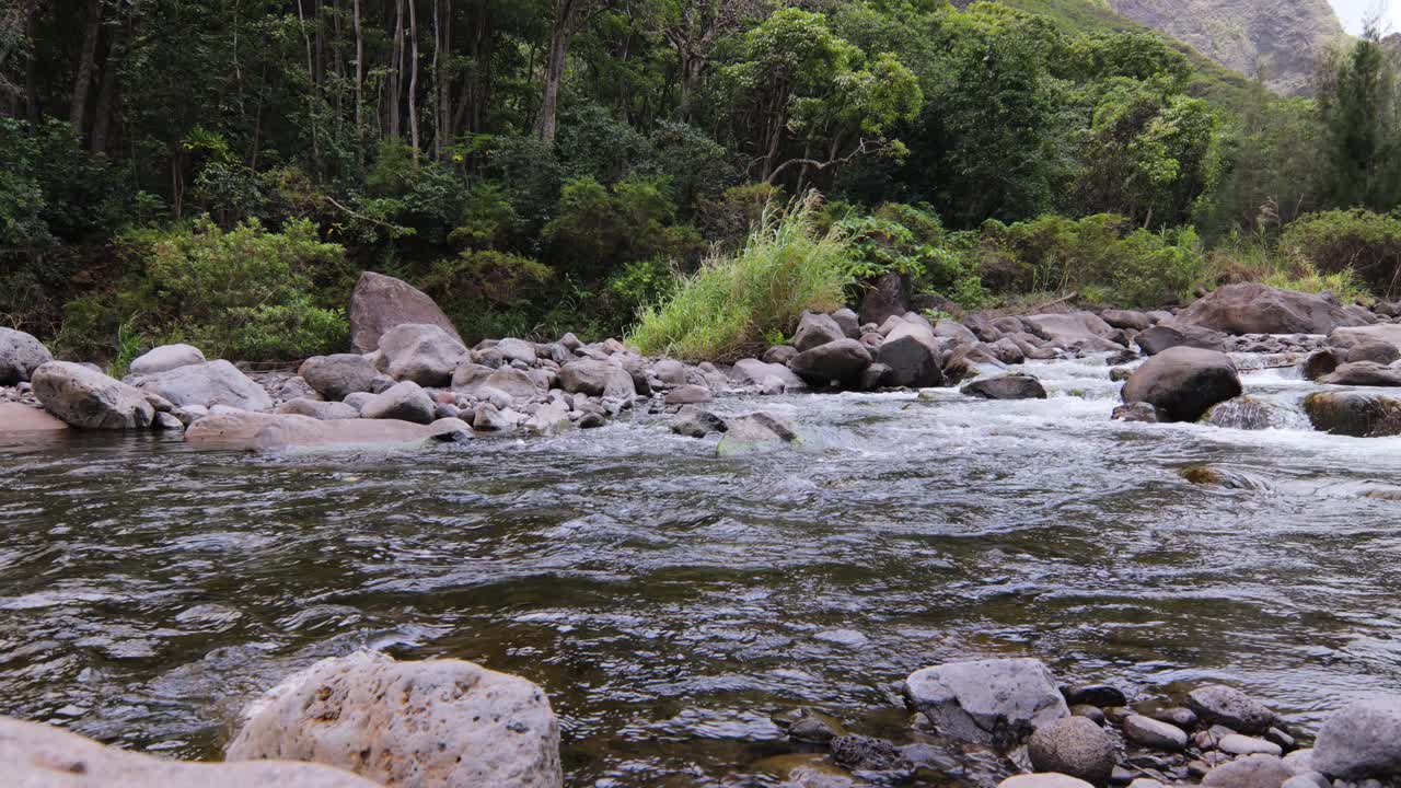 Un corso d'acqua impetuoso che scorre attraverso le foreste pluviali della giungla della Valle di 'Iao a Maui
