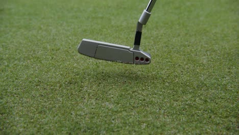 golf putter on green