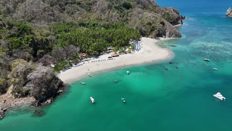 isla tortuga isla tropical costa rica américa central palmeras árboles océano y playa