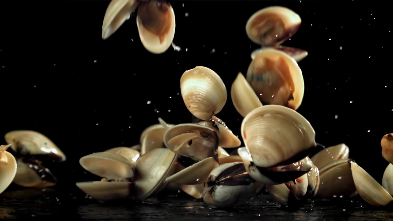 Slow Motion of Fresh Clams Falling onto a Wet Black Surface