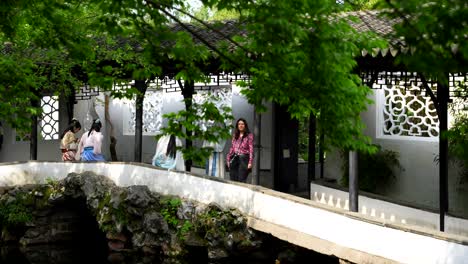 a photographer visits a tranquil chinese garden