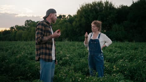 Confident-girl-Farmer-with-curly-hair-tries-a-tomato-from-the-garden-with-her-fellow-guy-in-the-field