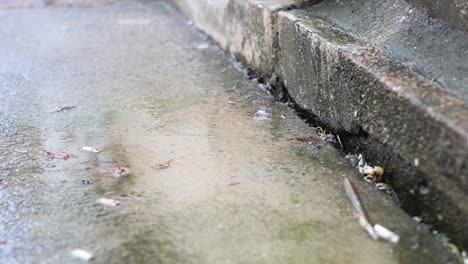 sequential capture of water drops hitting pavement