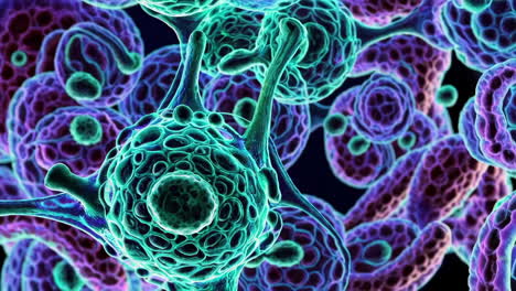 microscopic cellular structures