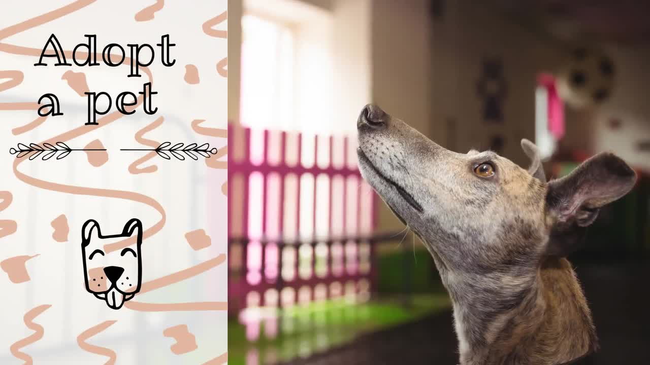 개 아이콘과 개 위에 애완동물 텍스트를 채택하는 애니메이션