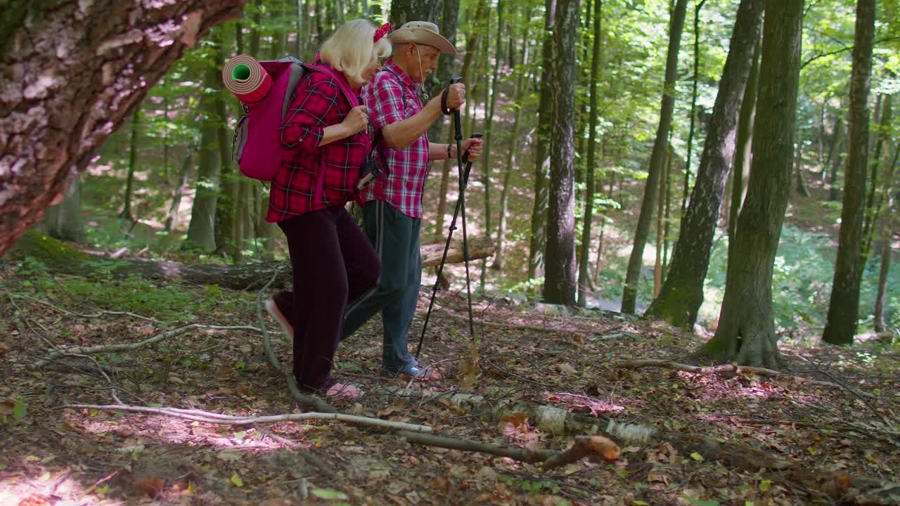 Anziani nonna e nonno che praticano nordic walking con bastoncini da trekking nel bosco.