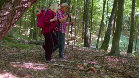 senior old elderly grandmother grandfather training nordic walking with ski trekking poles in wood