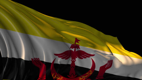 flag of brunei darussalam