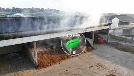 steam rises from a biomass pile at a biofuel facility