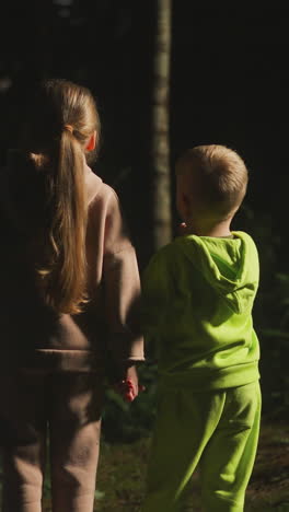 los niños solos se paran en el borde del bosque oscuro por la noche. la niña con el hermano observan el bosque misterioso de la noche en el campamento. los niños se unen de manos en el parque salvaje