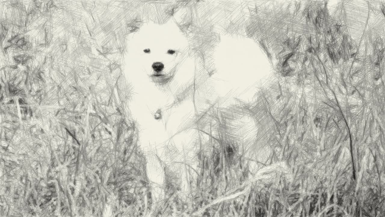 자연 정원에서 귀여운 개의 흑백 그림