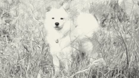 drawing black and white of cute dog in nature garden