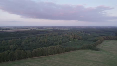 Vista-Aérea-Del-Bosque-En-Dinamarca-A-La-Luz-Del-Día