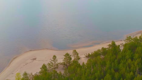 Baltic-sea-shore-with-white-sand-beach,-aerial-view-of-pine-trees-in-dunes