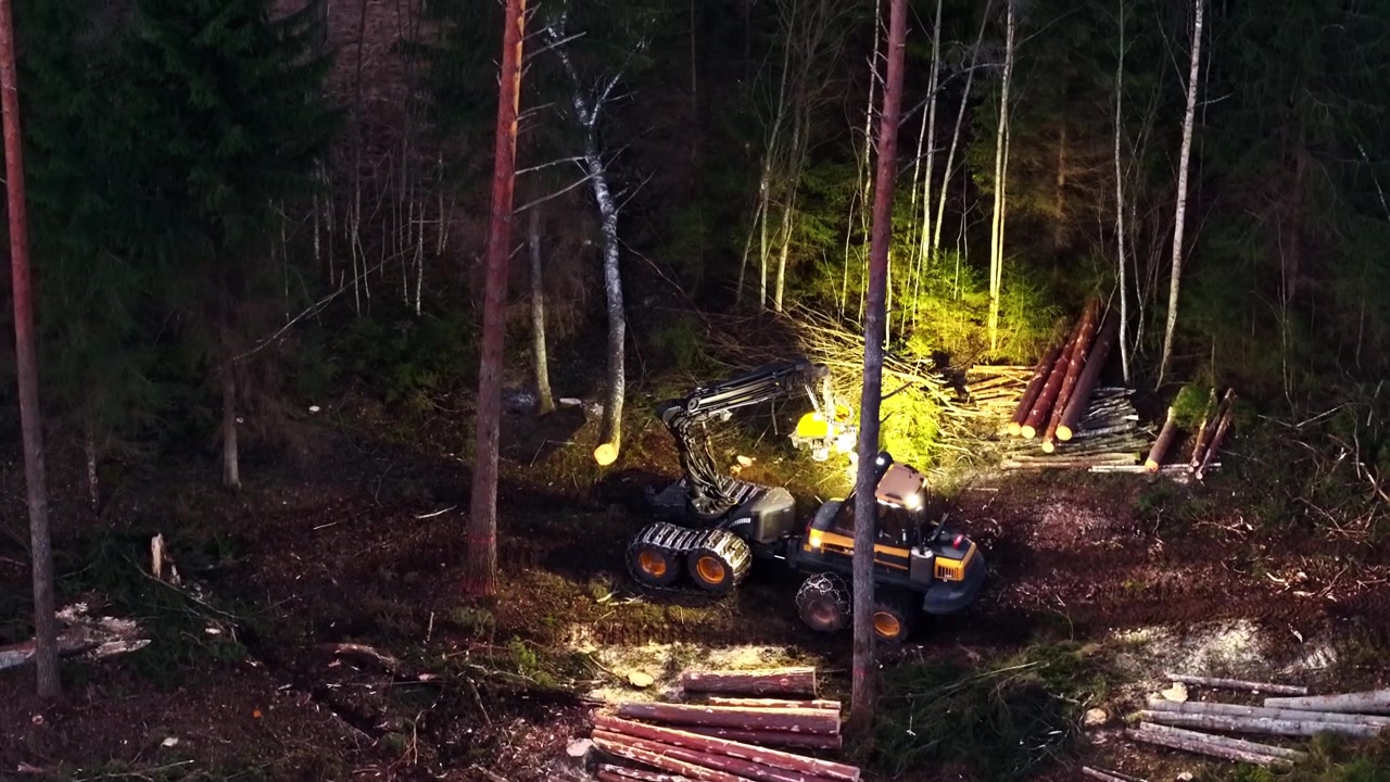Industrial logging machine cutting down trees and processing timber in a dark, illuminated forest