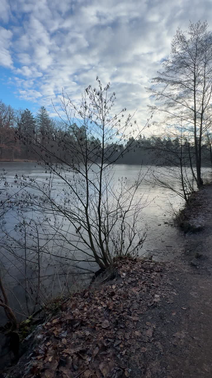 POV-gåtur langs en skovsti ved den frosne Bärensee-sø i Stuttgart. Roligt vinterlandskab med nøgne træer, overskyet himmel og fredelig parkstemning. Bärensee Stuttgart, Tyskland