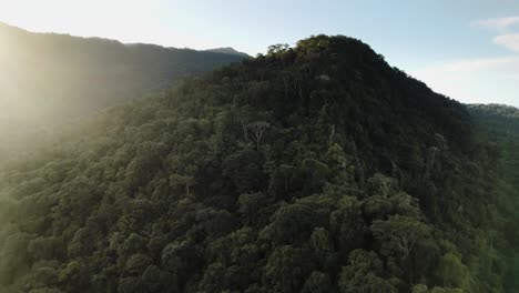 Dschungel-Berg-Sonnenaufgang-Costa-Rica-Bäume