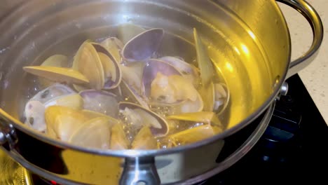 shellfish boiling in a pot on stove