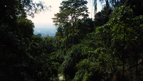 Vista-Aérea-Dentro-De-La-Antigua-Jungla-Tropical-Vietnamita