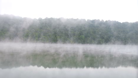fog over the forest with the river beautiful morning landscape fog over the forest with the river beautiful morning landscape forest river flows in the fog
