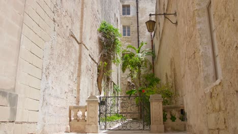 medieval architectural building wall with vegetation in mdina, malta