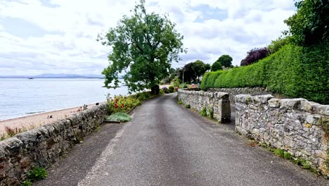 a peaceful road by the sea