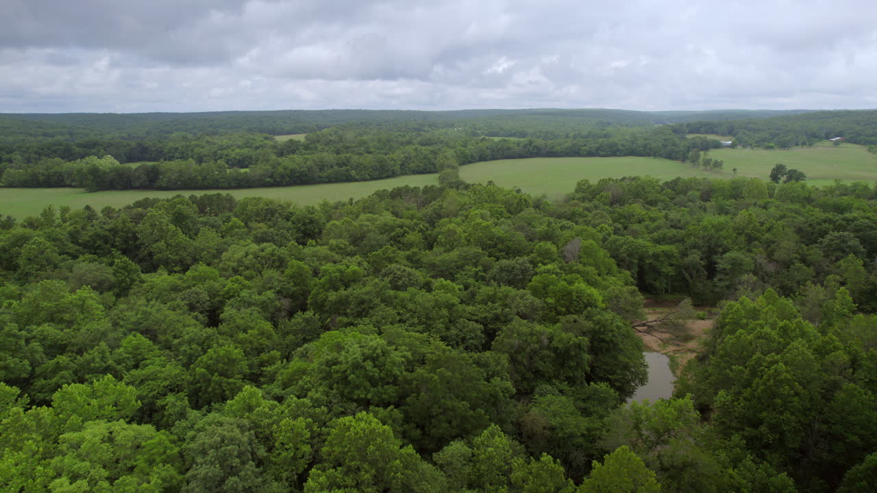 tire hacia atrás sobre los árboles y fluya en un día nublado en el campo