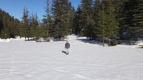 Man-Walking-Snowy-Forest