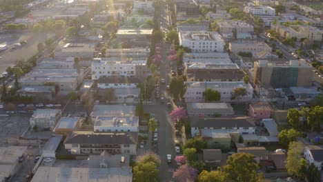 top view of los angeles. aerial drone shot of residential buildings. aerial shot of city traffic.