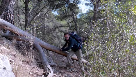 Slow-motion-shot-of-a-man-running-and-jumping-over-a-fallen-tree-on-a-hiking-trail