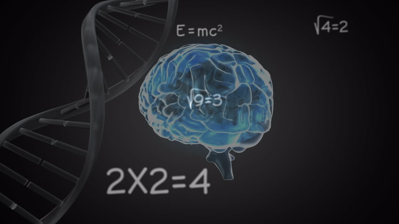 animación de ecuaciones matemáticas sobre el cerebro humano y estructura de adn giratoria en fondo negro