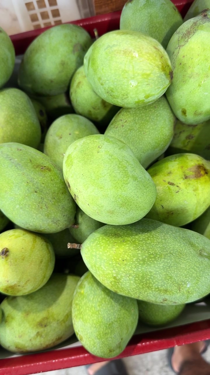Primo piano di mango freschi, verdi e acerbi in un cesto
