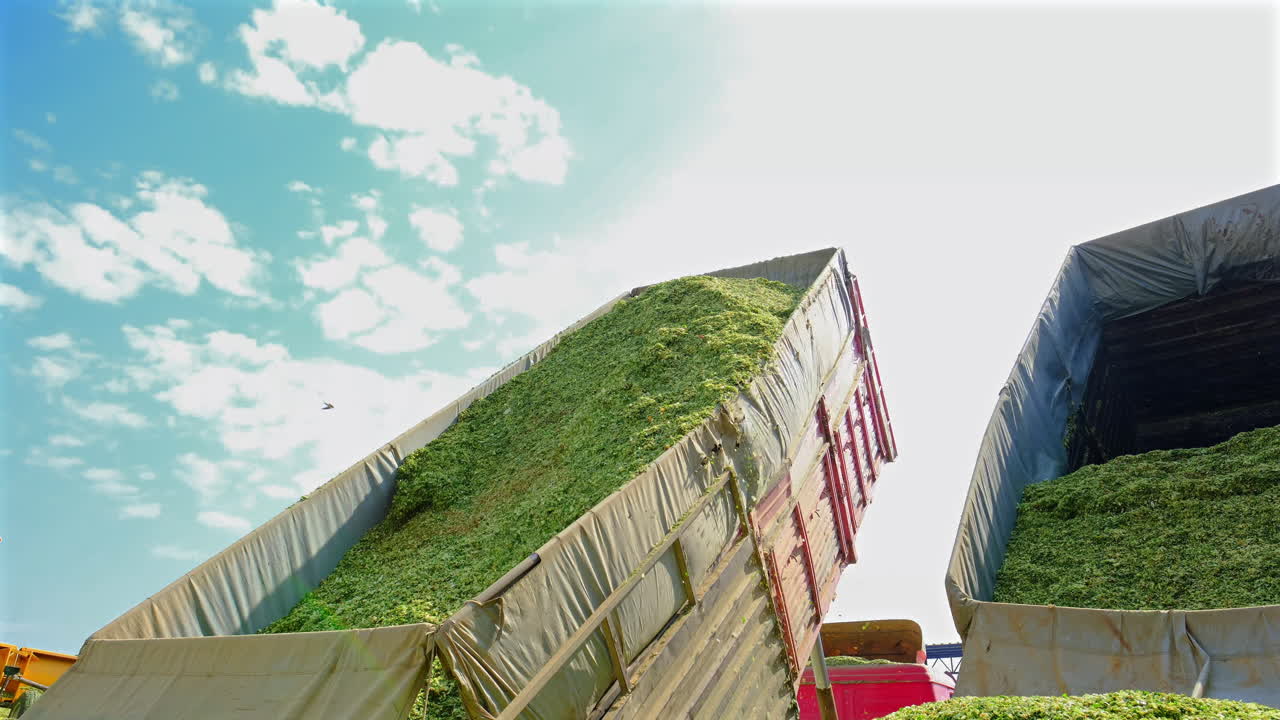 재료는 실레이를 위해 트럭에 의해 버려집니다.